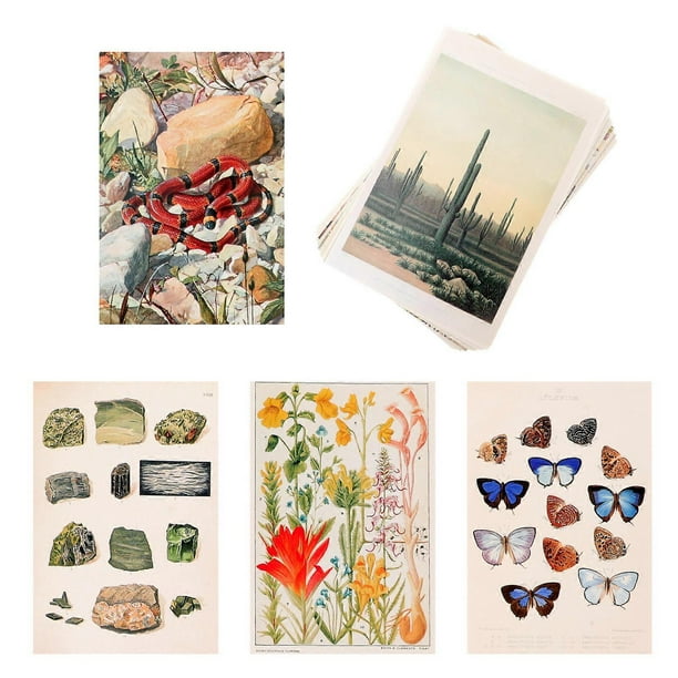 Vintage Wall Decorations 50Pcs Aesthetic Pictures Collage Kit Office Decor Dorm Decor 15.2x10.2cm Wall Decoration
