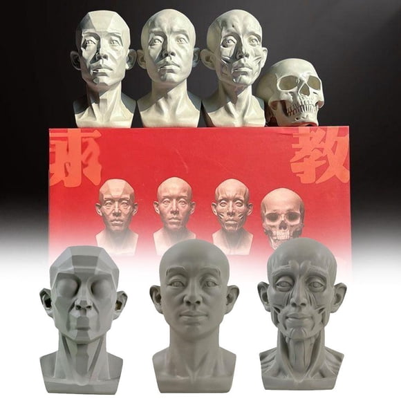 VIVIDCRAFT Planar Head Model for Artists Learn Planes of Face Standard Planar Head Male Head Model Human Manikin Head Model for Artists Drawing Skecthing Painting