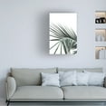thumbnail image 2 of Trademark Fine Art Shot by Clint My Mint Moment 20 Canvas Wall Art, 2 of 4