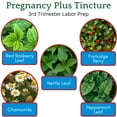 thumbnail image 2 of Herb Lore Pregnancy Tea Plus Tincture for Last 6 Weeks of Pregnancy  (2 fl oz), 2 of 7