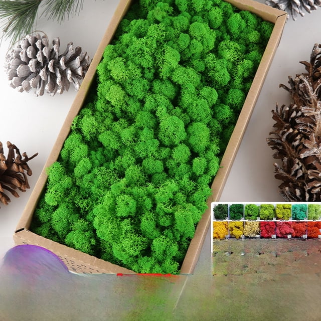 Musgo reno núcleo eterno musgo 500g flor artificial planta verde decoración de pared paisaje diy