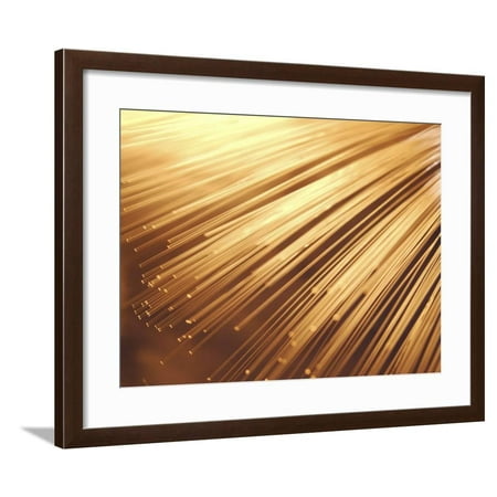 Fiber Optic Wires In Bright Orange Light Framed Print Wall Art