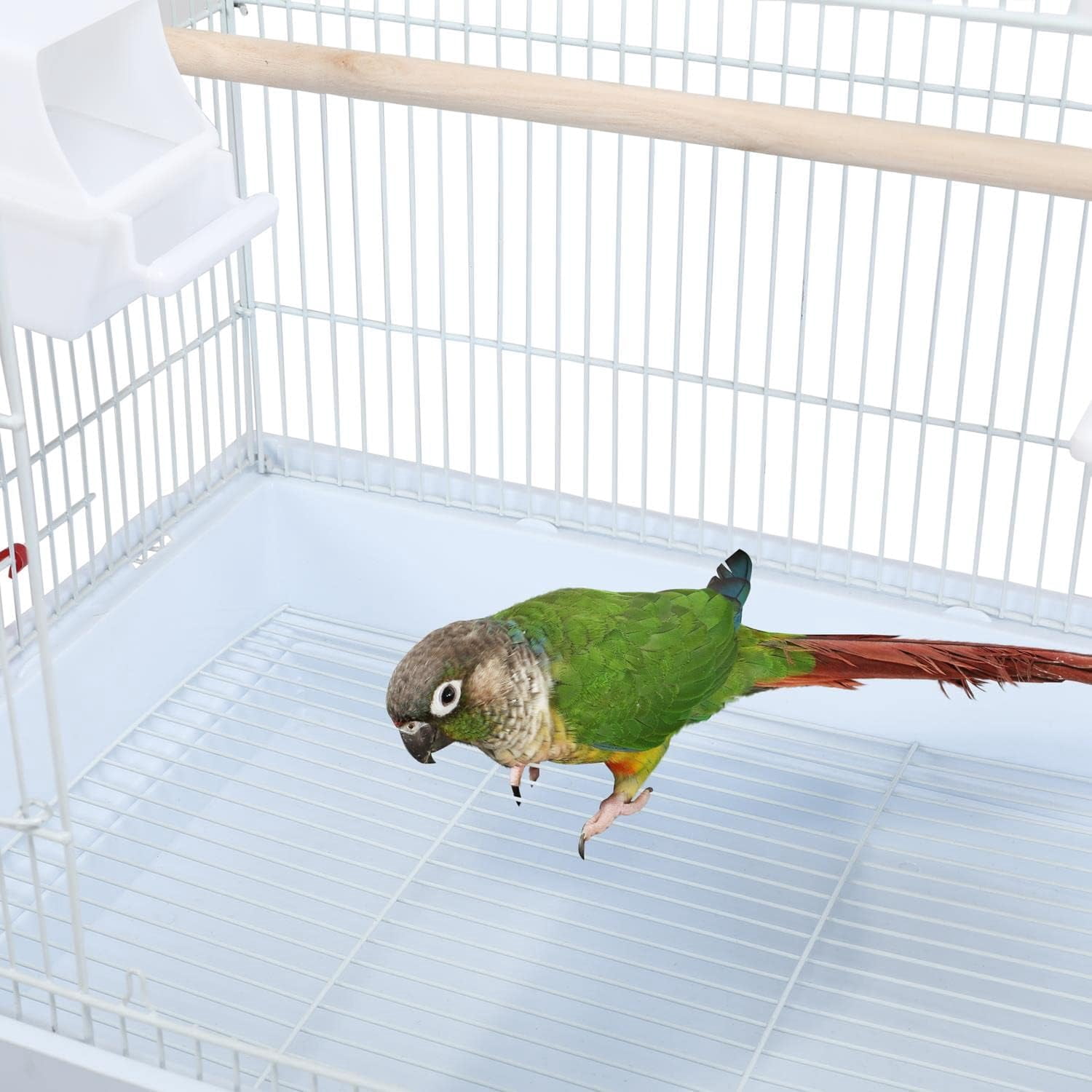JessieMal 41'' Open Top Medium Size Quaker Parrot Bird Cage Cockatiel Indian Ring Neck Sun Parakeet Green Cheek Conures Lovebird Budgie Canary Finch Parrotlet Bird Cage, White