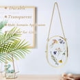 thumbnail image 4 of 2PCS Hanging Pressed Flower Frame, Double Glass Frames for Pressed Flowers Floating Frame, Oval Gold Frames Vintage Photo Frame for Wall Display Artwork DIY Photo Specimen(4×6 inches), 4 of 9
