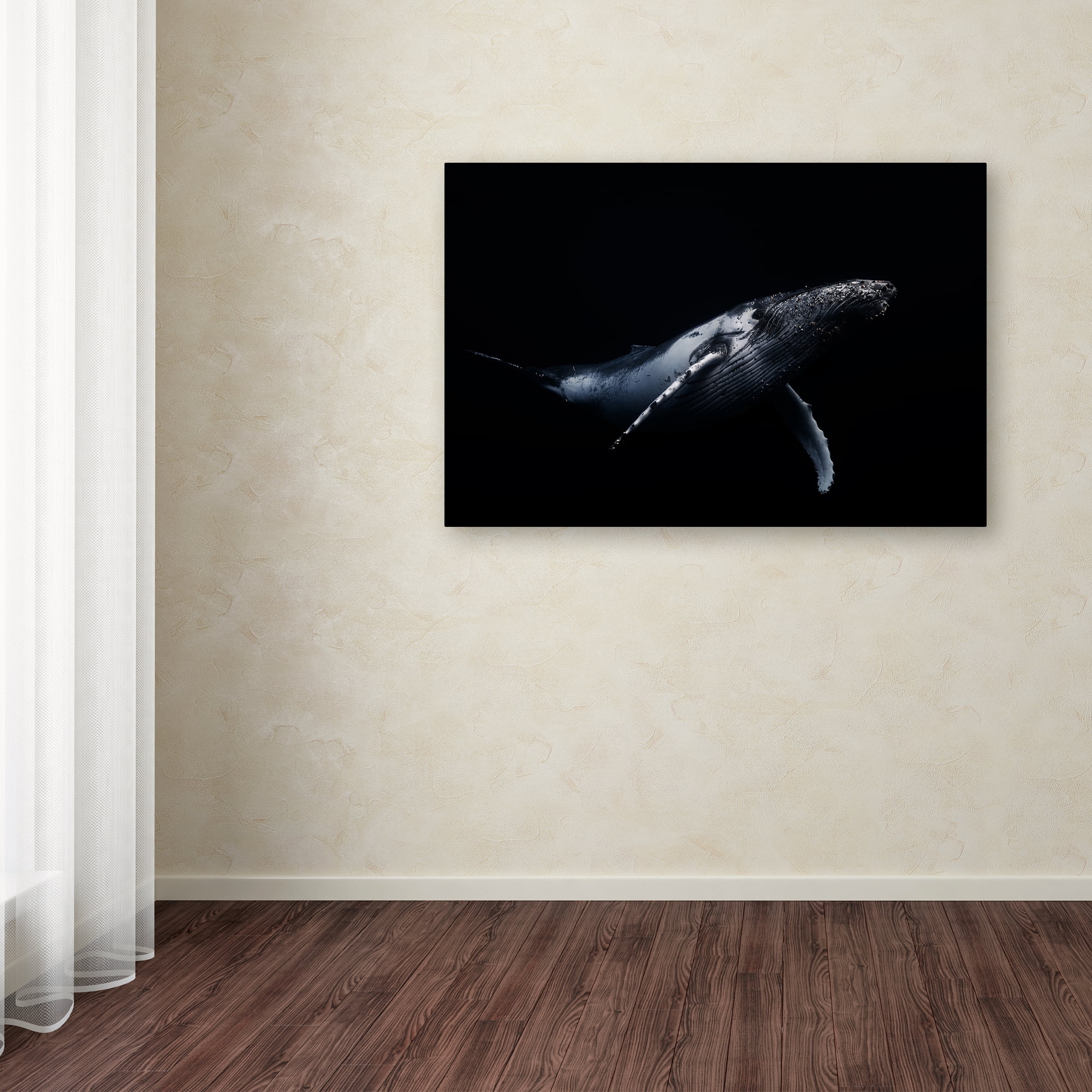 Trademark Fine Art 'Black & Whale I' Canvas Art by Barathieu Gabriel