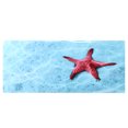 thumbnail image 2 of Etiqueta engomada del PVC del tanque de peces, cartel de fondo pintura decorativa etiqueta del fondo del acuario etiqueta decorativa del tanque de peces rendimiento confiable, 2 of 8