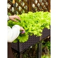 thumbnail image 2 of Lotpreco Plastic Raised Garden Bed Elevated Planter Box W/legs for Indoor And Outdoor Use, 2 of 9