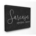 thumbnail image 2 of The Stupell Home Decor Collection Sarcasm Spoken Here Wall Art, 2 of 3