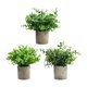 thumbnail image 5 of Plantas artificiales en maceta Strade Fareast Limited 3 piezas, 5 of 8