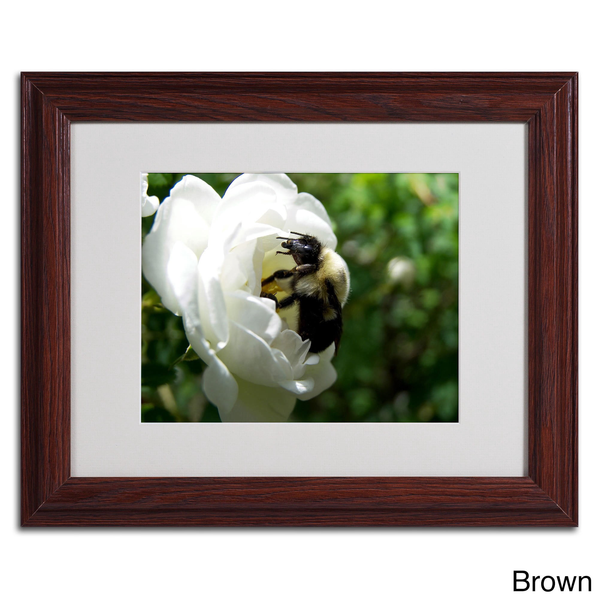 Trademark Fine Art "Passionate Desire" Canvas Art by Monica Fleet, White Matte, Black Frame