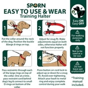 Sporn Training Dog Halter, Blue, Medium (12-17 Neck Size)