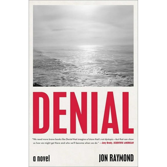 Denial, (Paperback)
