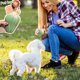 thumbnail image 3 of Bola lenta de la fuga de la comida del silicón de la categoría alimenticia de la bola del animal doméstico de los juguetes del gato y del perro, 3 of 4