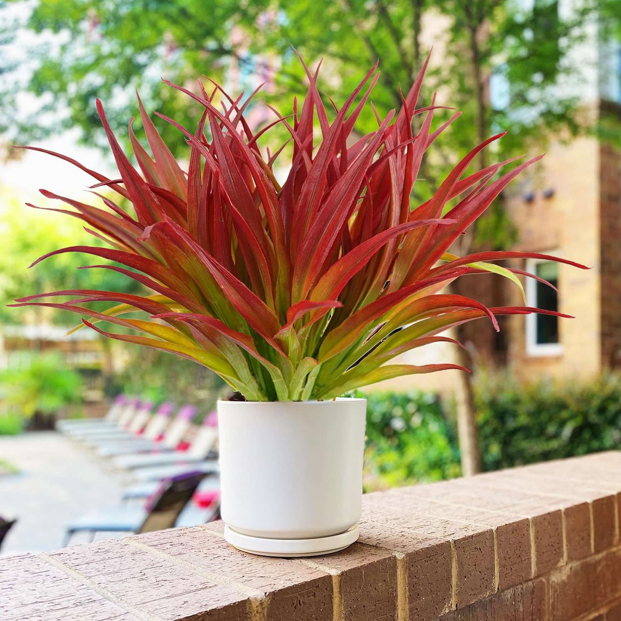 LAVA 18 Bunbles Artificial Grass Fake Plants UV Resistant Outdoor Plastic Faux Greenery for Office Home Wedding Patio Walkway Garden Decor Red