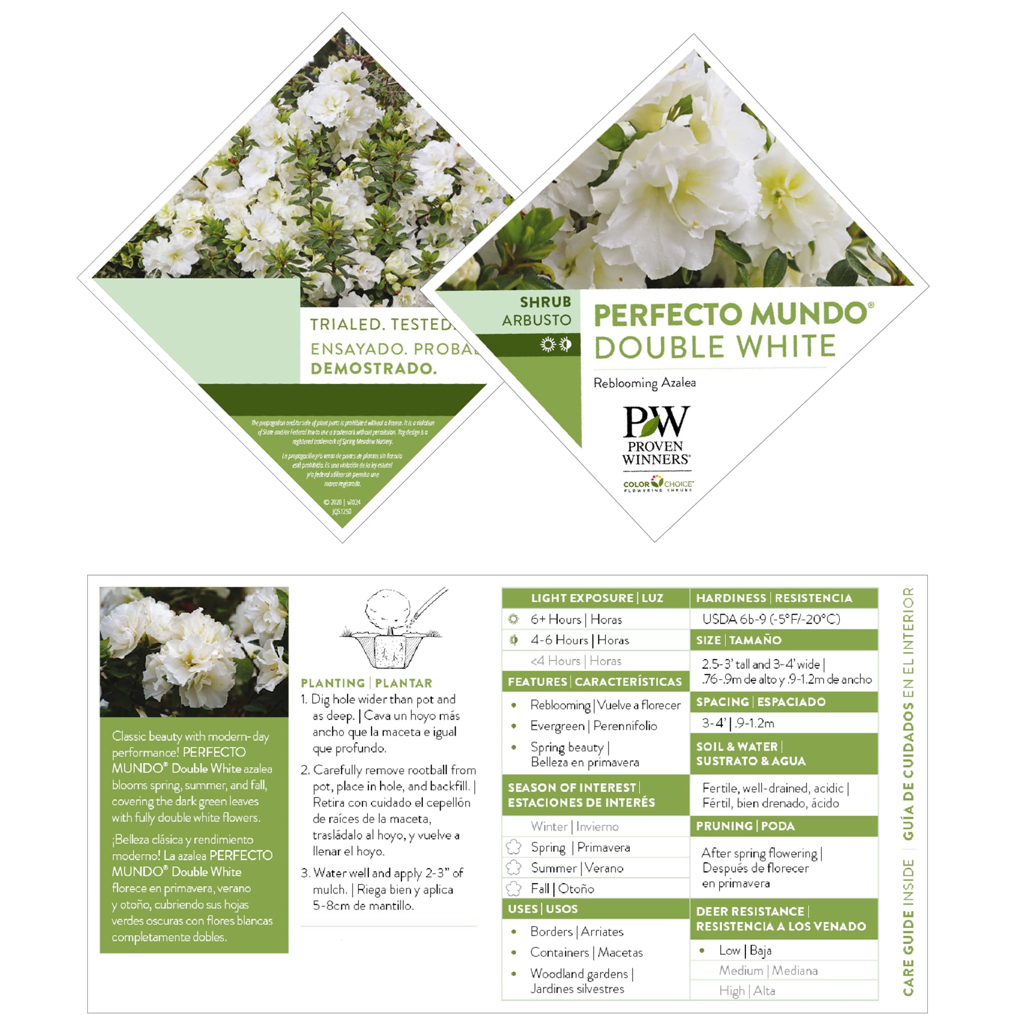 Proven Winners ColorChoice Perfecto Mundo Double White Azalea Live Shrub (2 Gallon)