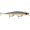 Halloween, variant on Rapala Shadow Rap 11 Jerkbait Halloween