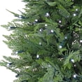 thumbnail image 3 of 5 ft. Cypress Tree with Multi-Function LED Lights, 3 of 4