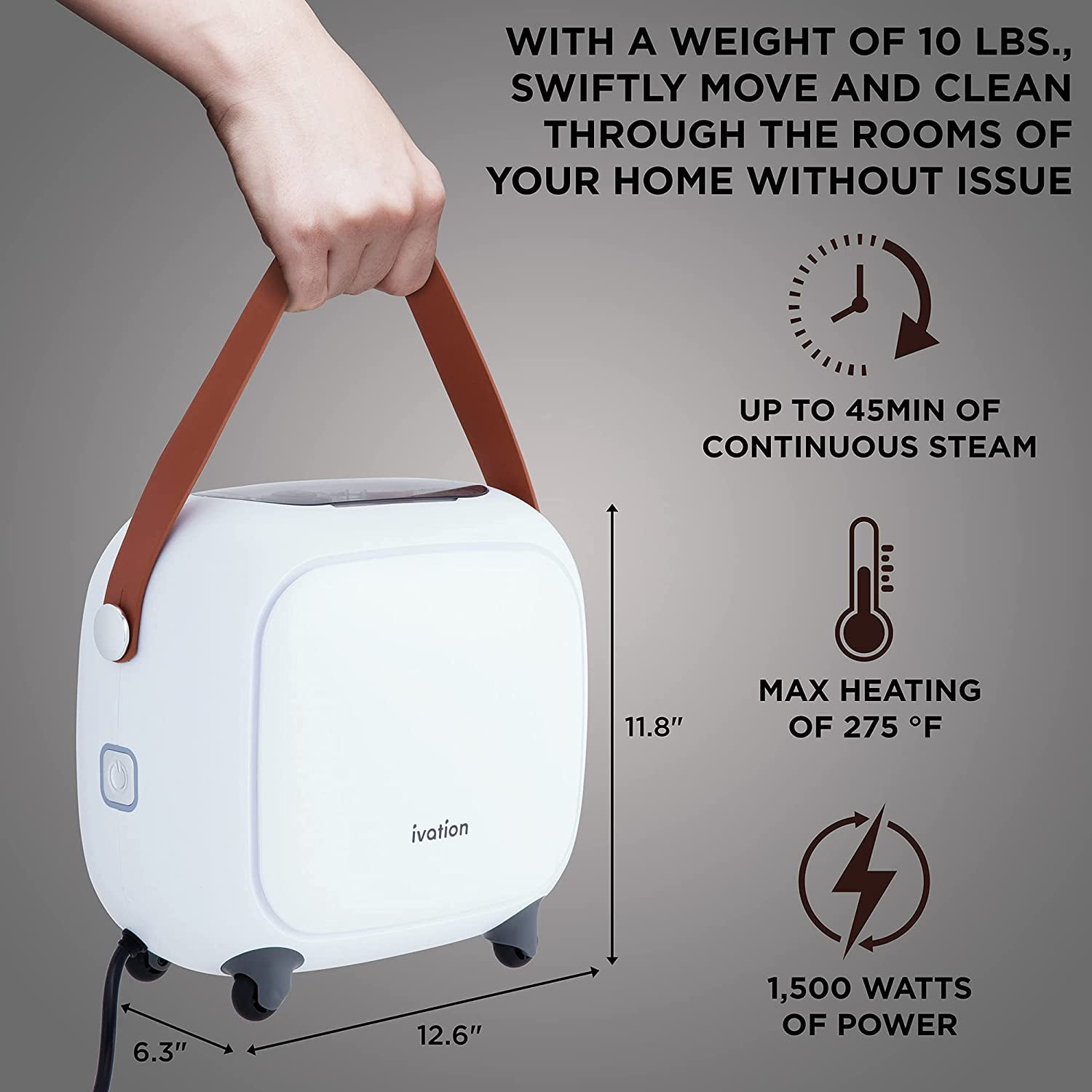 ivation steam cleaner