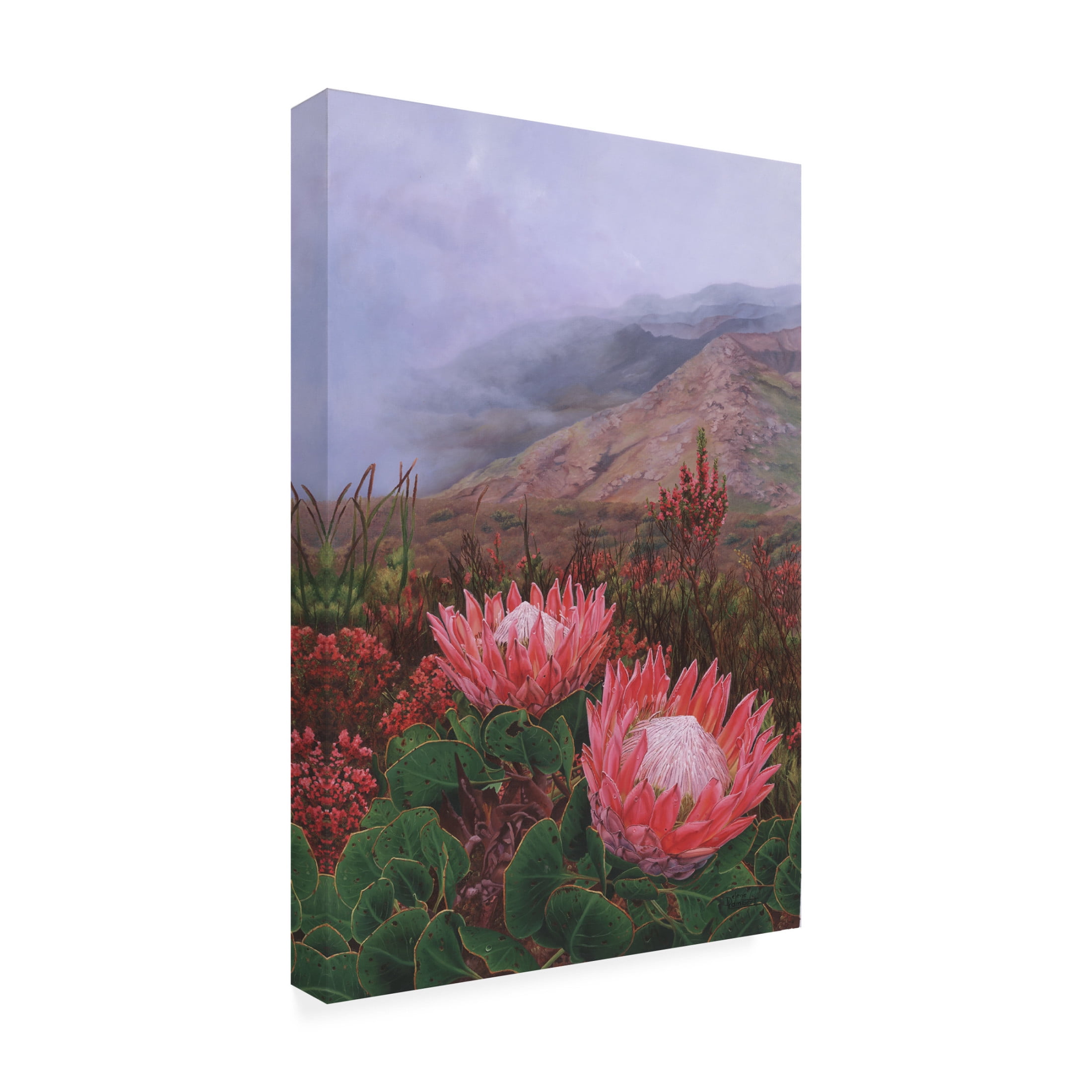 Canvas Wall Art - Delene Lambert 'In the Eye of the Beholder Proteas' Wall Art for Living Room, Bedroom, or Office Décor by Trademark Fine Art - 12 x 19 Inches