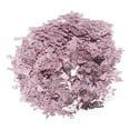 thumbnail image 4 of Confettis de Graduation en Or Rose, Confettis de Graduation en Or Rose Réutilisables pour la Décoration de Graduation pour la Fête, 4 of 8