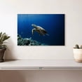 thumbnail image 2 of Elephant Stock Turtle Adventure Wall Art - Horizontal Canvas Wall Art - Living Room Wall Decor - Animal Canvas - Blue And Turquoise Decor - 12" x 8", 2 of 8