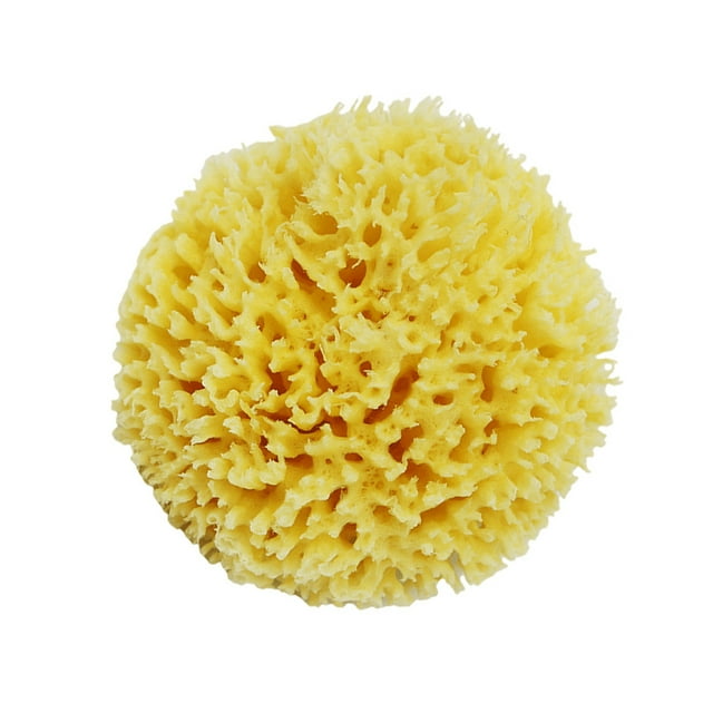 ZheElen Durable Natural Greek Sponge Versatile And Easy To Clean Natural Sea Sponges For Bathing Honeycombs Natural Sea Sponge yellow 1Set