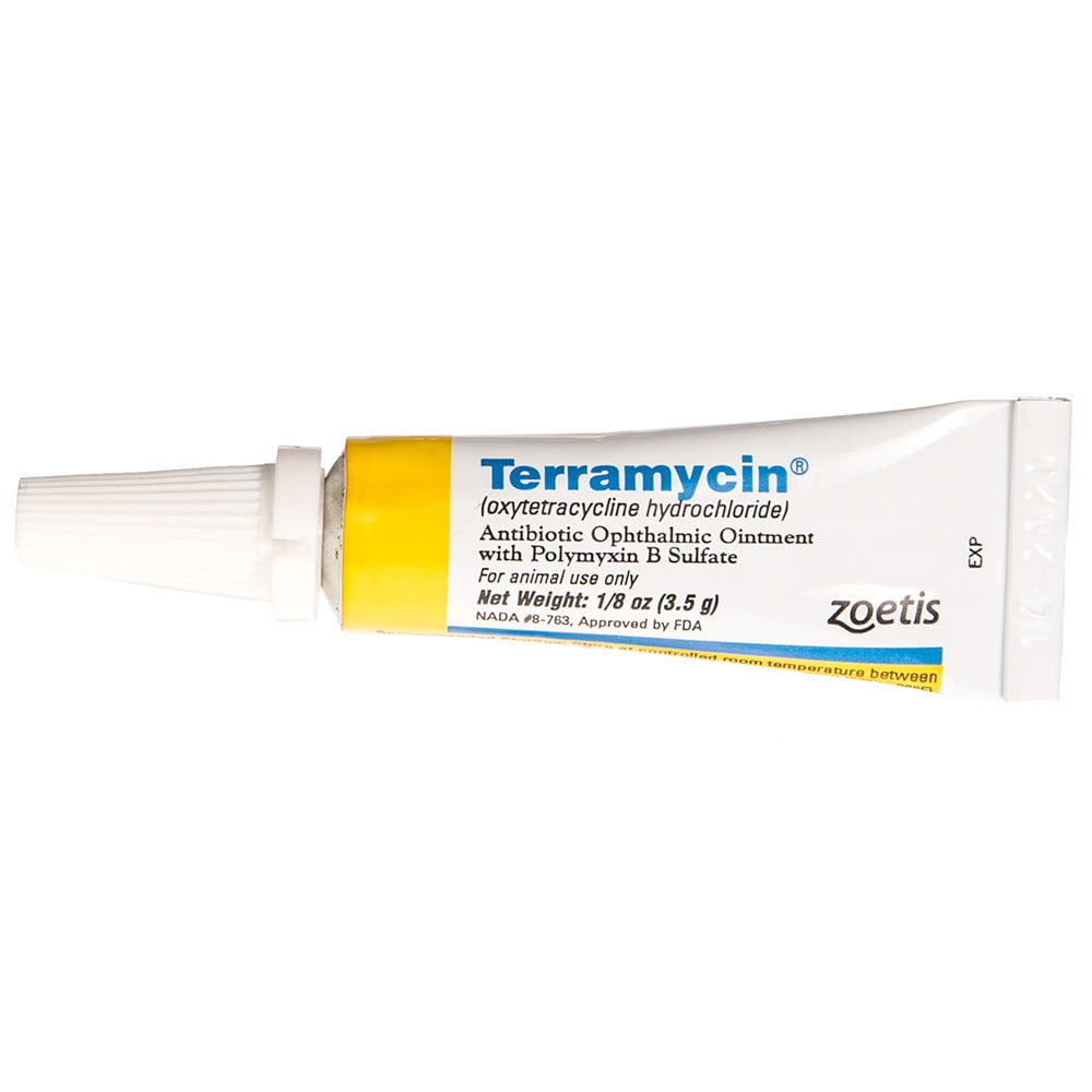 Terramycin Ophthalmic Ointment for Dogs, Cats and Horses - Walmart.com