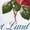 WHITE, variant on Instant Message - American Roses - Women's Short Sleeve Graphic T-Shirt