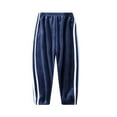 thumbnail image 3 of Esaierr 2-12 Years Boys Girls Fleece Sweatpants for Baby Kids,Casual Pants with Pockets Jogger Pants,Fall Winter Unisex Thickened Loose Trousers, 3 of 5