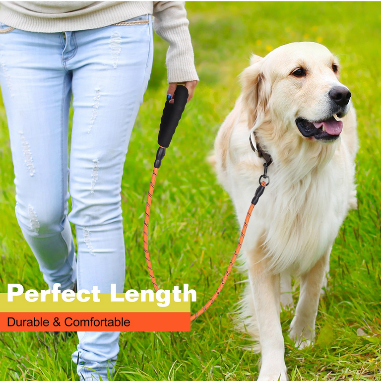 Walmart dog clearance leash