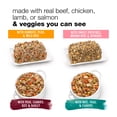 thumbnail image 3 of Purina Beneful Chopped Blends Wet Dog Food Soft Beef, Chicken, Salmon & Lamb, 10 oz Tubs, 3 of 12