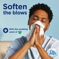 thumbnail image 2 of Puffs Plus Lotion Facial Tissue with the Scent of Vicks, 6 Cube Boxes, 48 Tissues Per Box, 2 of 12