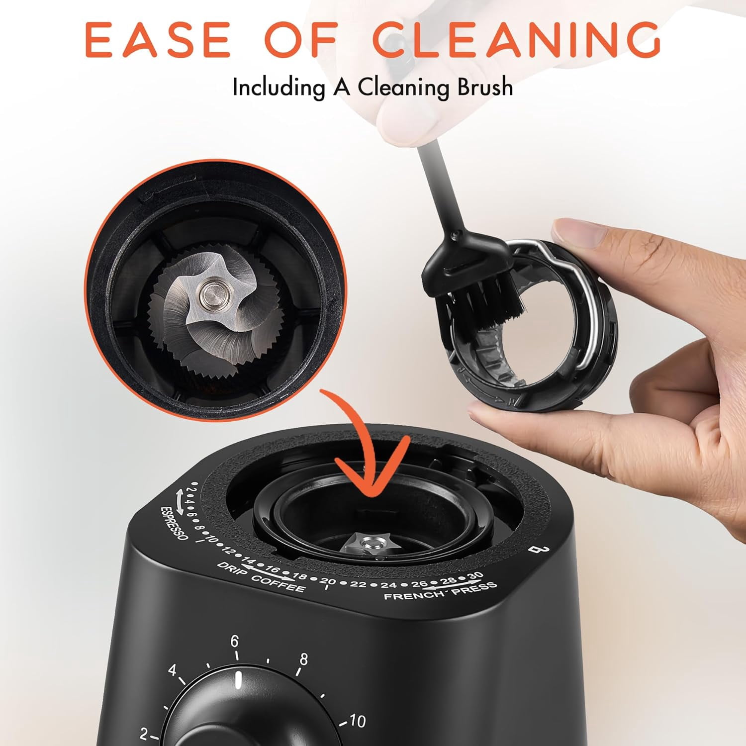 Electric Coffee Grinder with Conical Burr and 30 Grind Settings for Espresso to French Press
