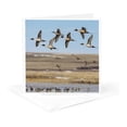 thumbnail image 5 of 3drose, Northern Pintail Ducks in Courtship Flight Near Choteau, Montana, Usa, 6 Greeting Cards with Envelopes, 5 of 7
