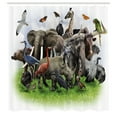 thumbnail image 3 of Ambesonne Animals Shower Curtain, Wild Creatures Collage Art, 69"Wx84"L, Multicolor, 3 of 5