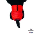 thumbnail image 5 of Barkertime Red Stripes Dog Diaper, 5 of 7
