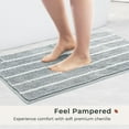 thumbnail image 2 of Stripe Chenille Bathroom Rugs Set 2 Piece 17"x24"+20"x32", Water Absorbent Soft Bath Mat for Bathroom, Non Slip Bath Rug Washable Quick Dry Shower Mats, Grey and White, 2 of 6