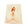 thumbnail image 4 of Simulador de episiotomía de silicona con accesorio para práctica perineal Cortar por la mitad, 4 of 9