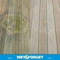 Wet & Outdoor Moss, Mold, Mildew, & Algae Stain Remover Multi
