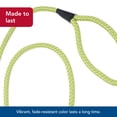 thumbnail image 4 of Leash Coastal Lime de nailon trenzado suave de 1,3 cm x 1,8 m, 4 of 7