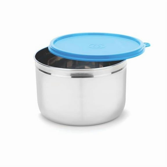 Signoraware 1100ml Store Well Ergonomic Stainless Steel Container Box with Lid/Bpa Free