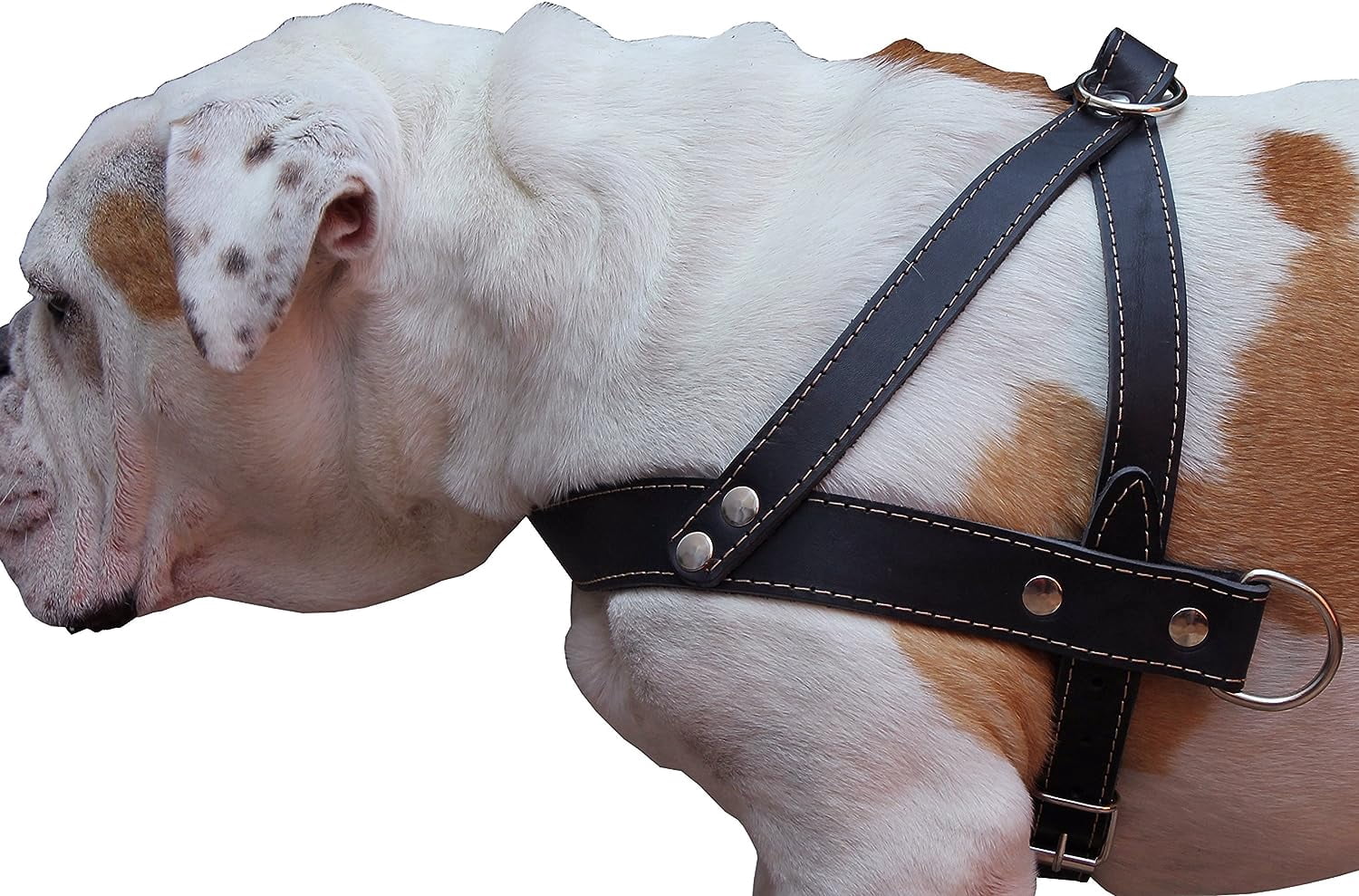 High Quality Genuine Black Leather Dog Pulling Walking Harness Large. 31"-35" Chest, 1.5" Wide Straps