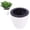 A, variant on YCCMML Automatic Plant Watering Pot, EasyPlant Self Watering System with Indicator, Resin Semi Hydroponic Planter for Home