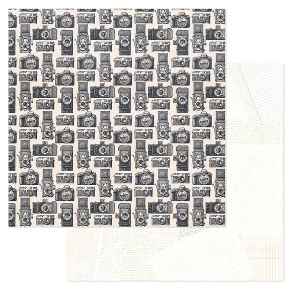 Cedar House Double-Sided Cardstock 12"X12"-Cameras