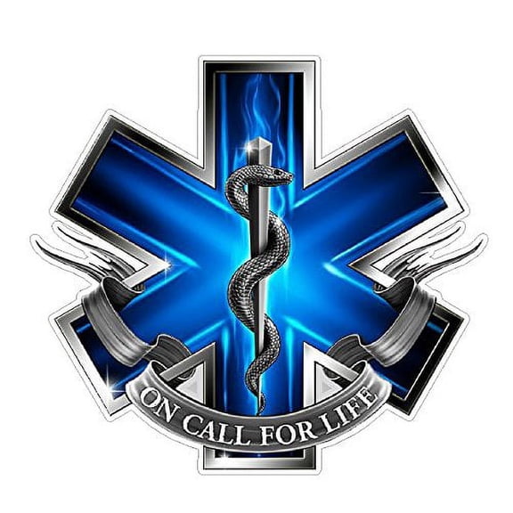 EMS Logo (Z2) Blue Flames Vinyl Decal Sticker Car/Truck Laptop/Netbook Window