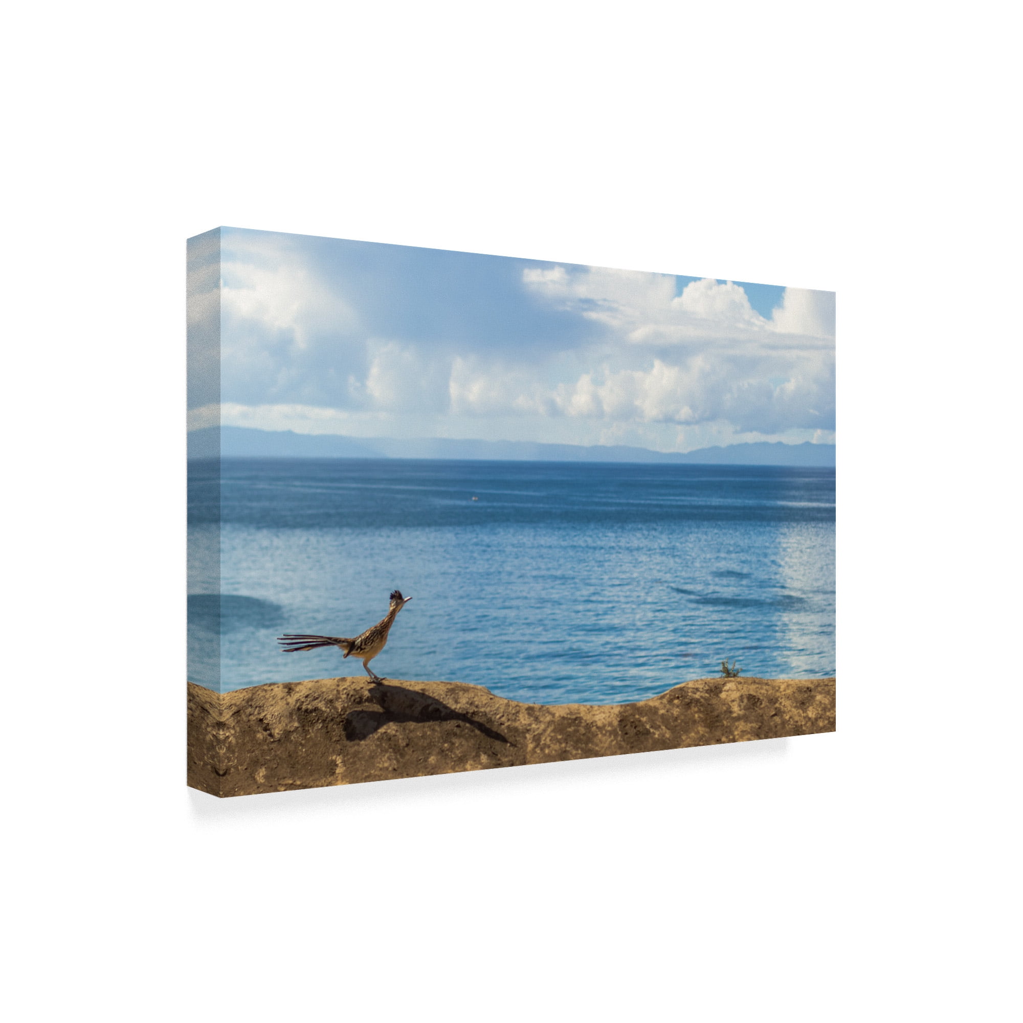 Trademark Fine Art 'Road Runner View' Canvas Art by Chris Moyer