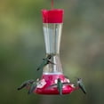 thumbnail image 5 of Perky-Pet Top-Fill Favored Pinch-Waist Glass Hummingbird Feeder – 20 oz, 5 of 10