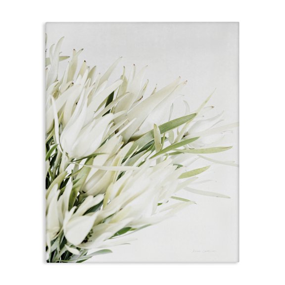 Stupell Industries Traditional Bright Natural Flower Arrangement Canvas Art, 16 x 20, by Floragraphica