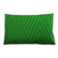 thumbnail image 1 of Ahgly Company Patterned Indoor Rectangular Lime Green Lumbar Throw Pillow, 13 inch by 19 inch, 1 of 5