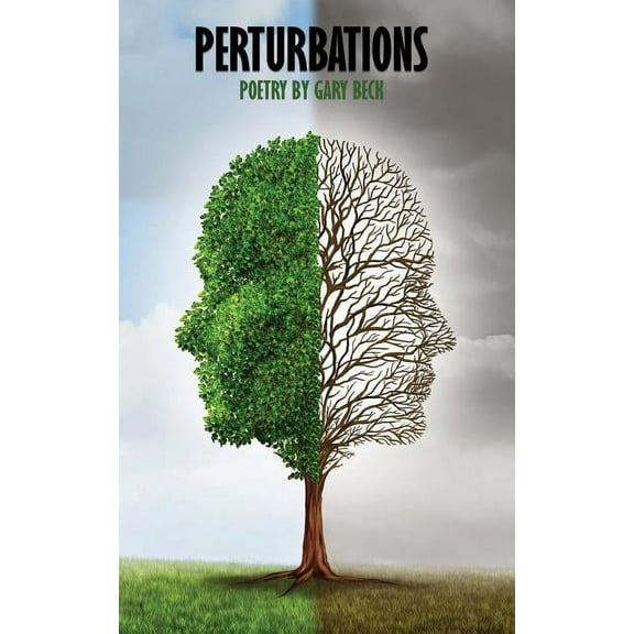 Perturbations